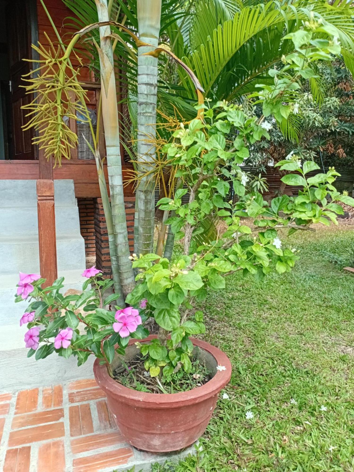The Hidden Oasis Bungalows Kampot Exterior photo